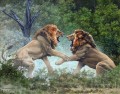 lions de duel
